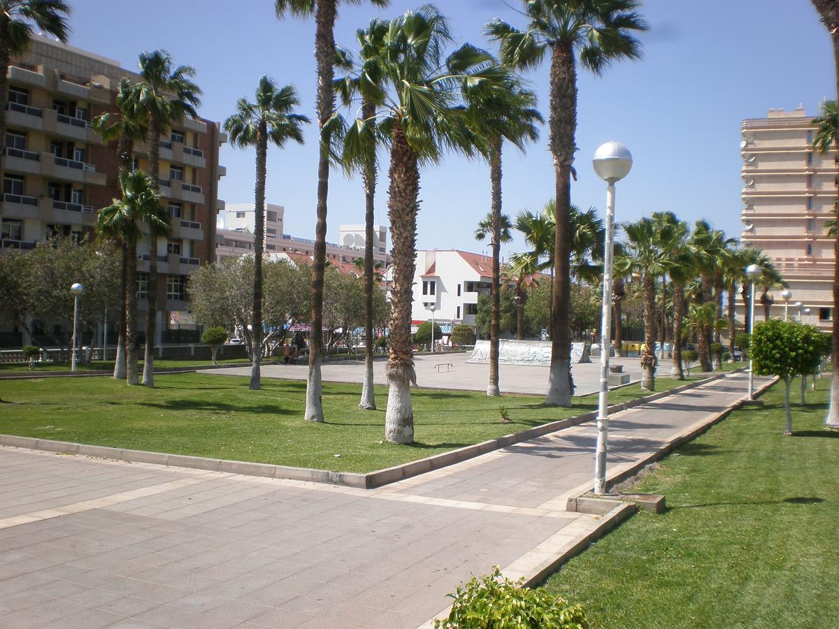 Floritas Playa de las Américas